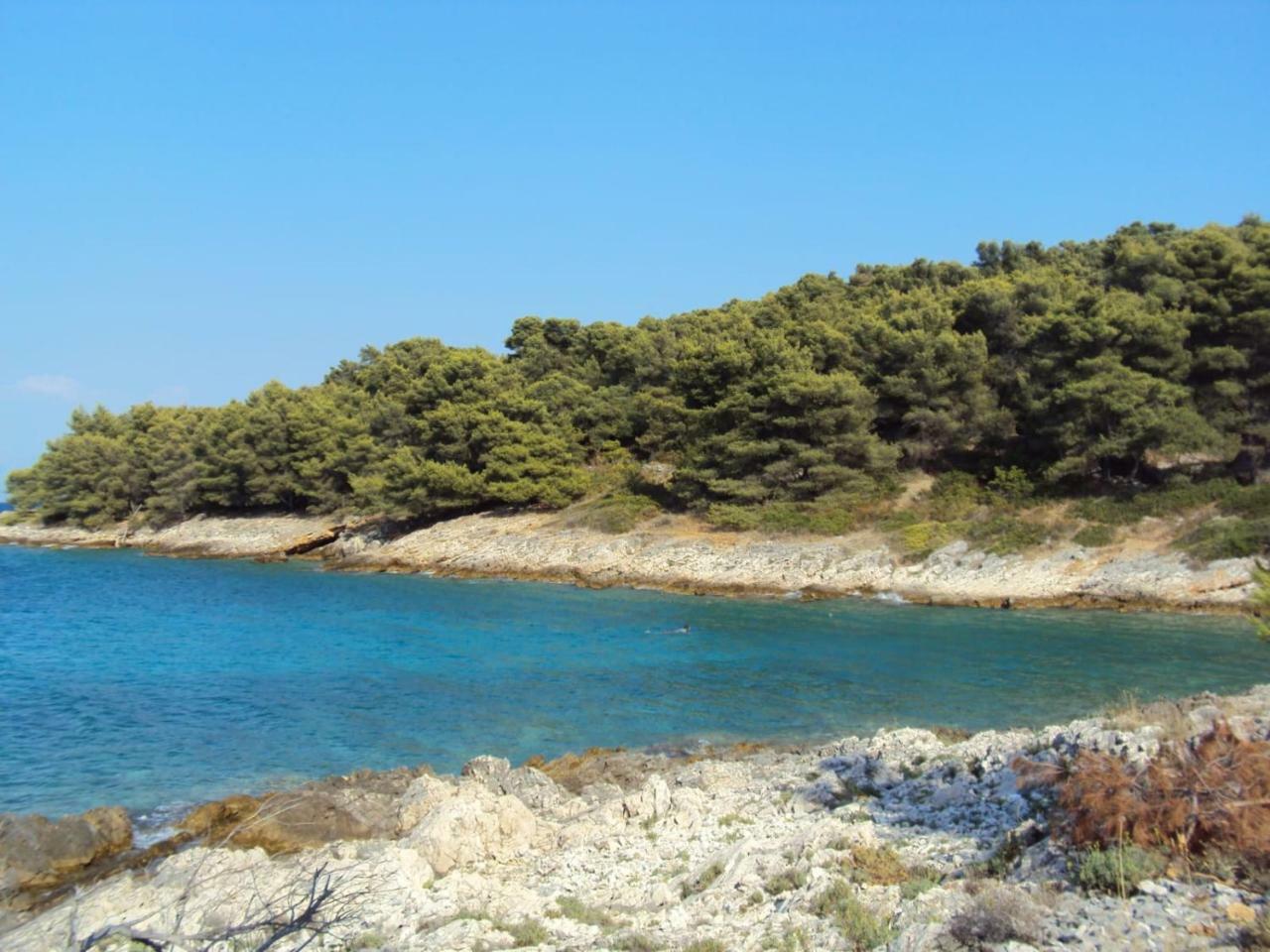 Apartment Žalo Donje Selo na Šolti 外观 照片