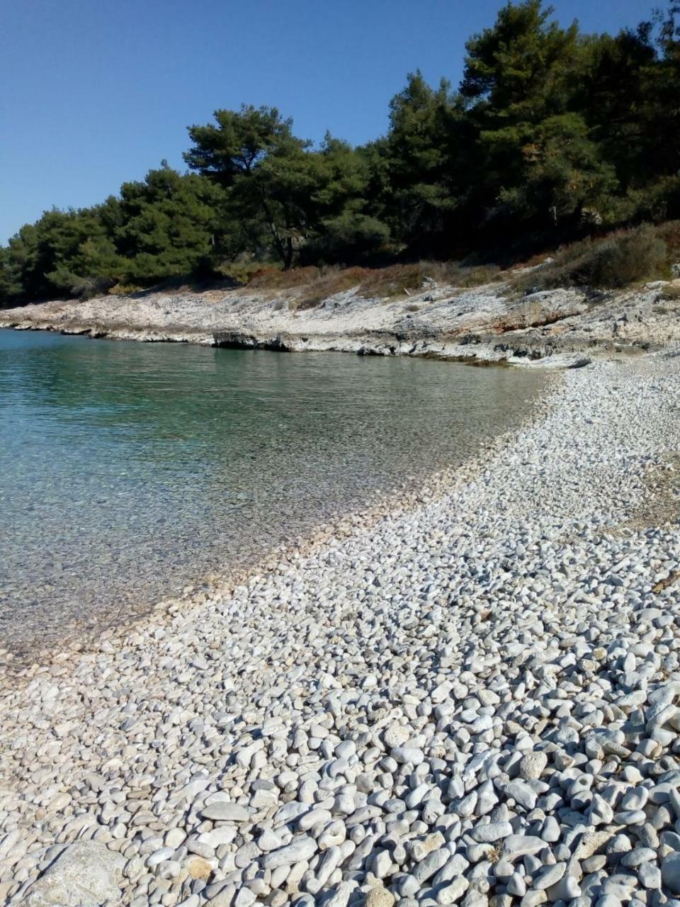 Apartment Žalo Donje Selo na Šolti 外观 照片